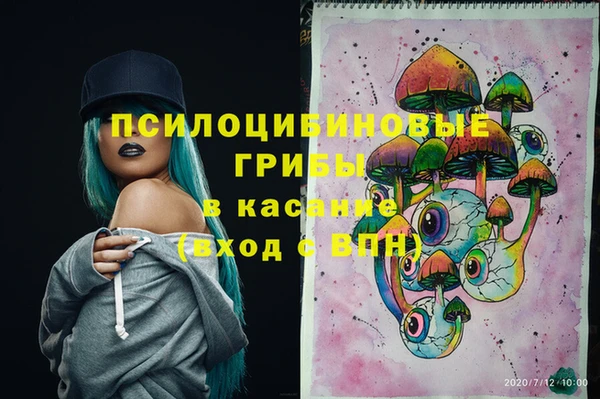 ГАЛЛЮЦИНОГЕННЫЕ ГРИБЫ Балахна