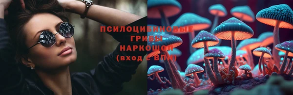 кокс Баксан