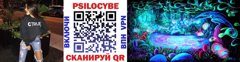 даркнет какой сайт  Шелехов  блэк спрут   Псилоцибиновые грибы Magic Shrooms  закладки 